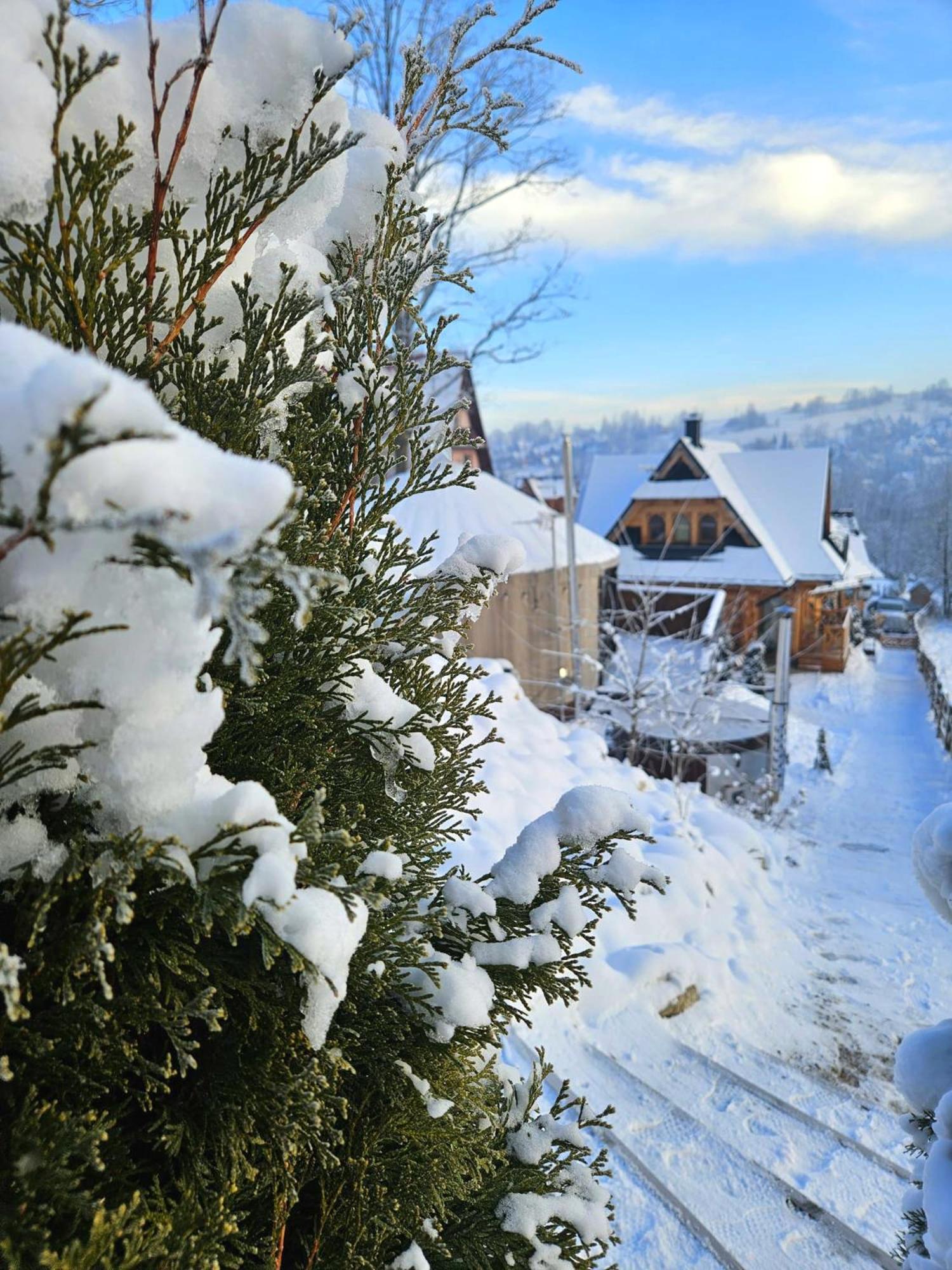 Goralska Chatka 2 Highland Cottage - Split Ac, Jacuzzi, Sauna, Private Parking, Mountains View, Garden, Zakopane Dış mekan fotoğraf
